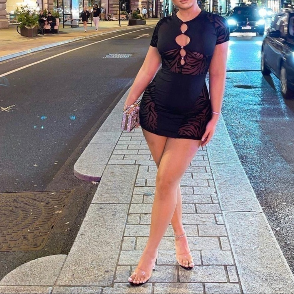 Copy - Black Zebra Mesh Mini Dress